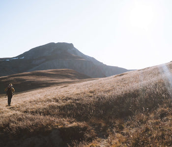 COVID-19 Response - We Remain Open