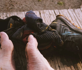 Simba Hikes the CDT - Dispatch #2